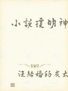 小说琼明神女录