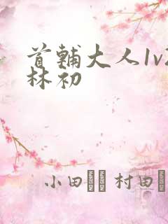 首辅大人1v2林初