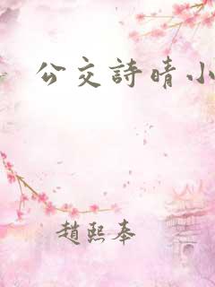 公交诗晴小说
