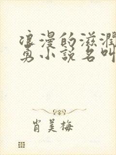 浪漫的滋润刘大勇小说名叫什么?