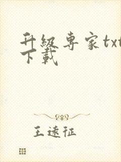 升级专家txt下载