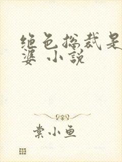 绝色总裁是我老婆 小说