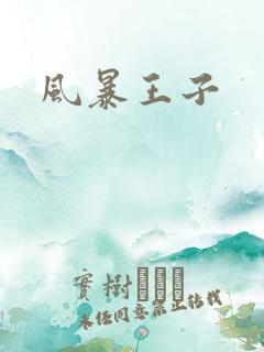风暴王子