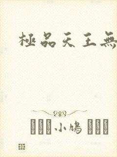 极品天王无弹窗
