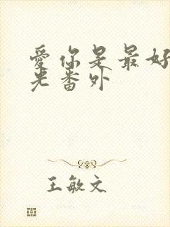 爱你是最好的时光番外