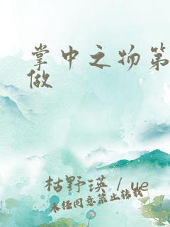 掌中之物第一次做