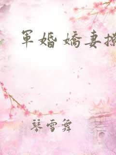 军婚 娇妻撩人