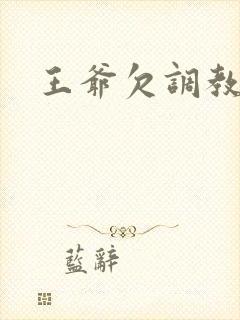 王爷欠调教