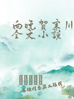 向晚贺寒川免费全文小说