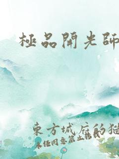 极品开光师阅读