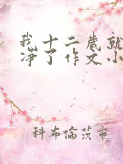 我十二岁就不干净了作文小说