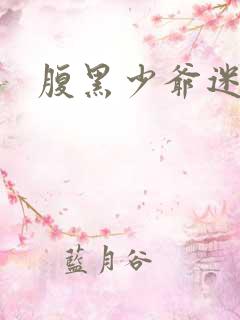 腹黑少爷迷糊妻