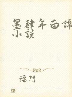 墨肆年白锦瑟 小说