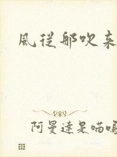 风从那吹来小说