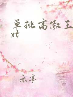 单挑高傲王子txt