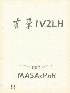 有孕1V2LH