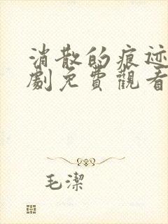 消散的痕迹电视剧免费观看完整版