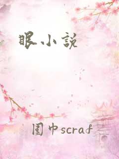 眼小说
