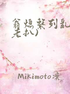 翁熄系列乱 (老扒)