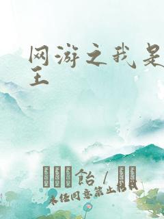 网游之我是海贼王