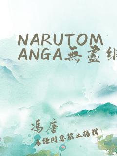 NARUTOMANGA无尽纲手