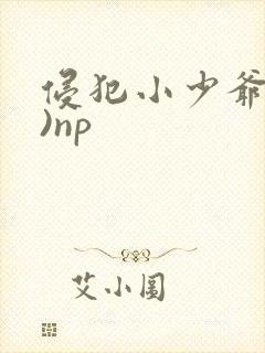 侵犯小少爷(H)np