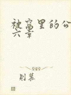 被窝里的公息第六章