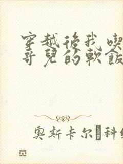 穿越后我吃到了哥儿的软饭炉山灰