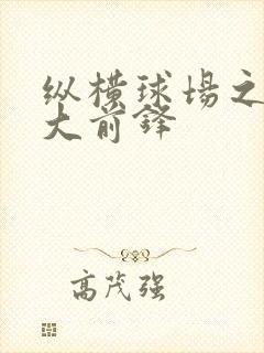 纵横球场之暴力大前锋