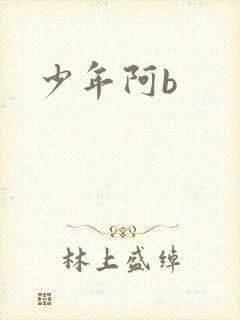 少年阿b