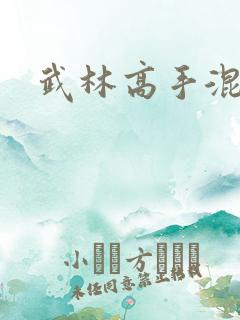 武林高手混都市