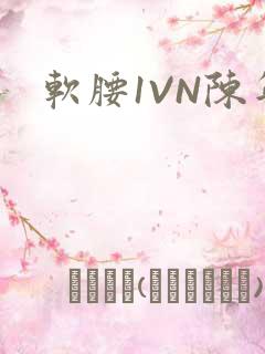 软腰1VN陈年