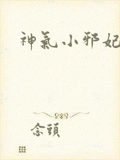 神气小邪妃