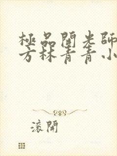 极品开光师李南方林青青小说免费阅读