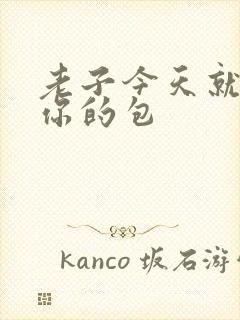 老子今天就要开你的包