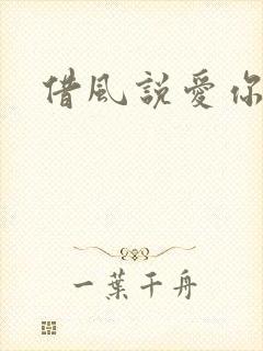 借风说爱你