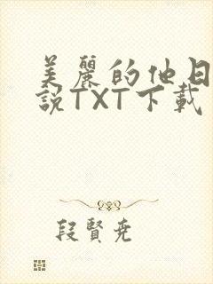 美丽的他日剧小说TXT下载