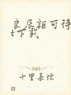 良辰讵可待txt下载