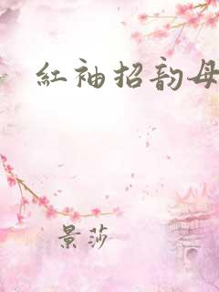 红袖招韵母攻略