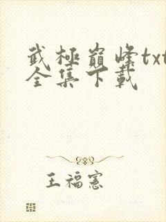 武极巅峰txt全集下载