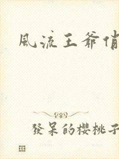 风流王爷俏相公