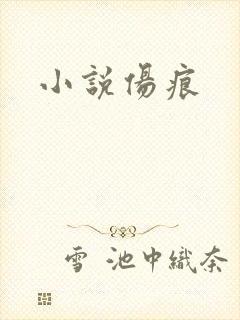小说伤痕