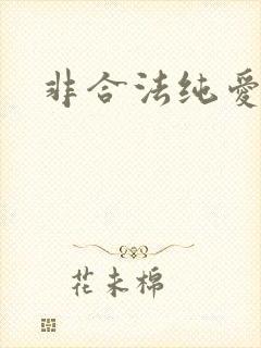 非合法纯爱