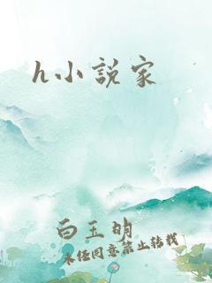 h小说家