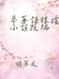 梦华录根据什么小说改编