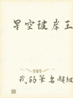 星空彼岸王轩