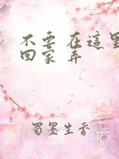 不要 在这里 回家 弄