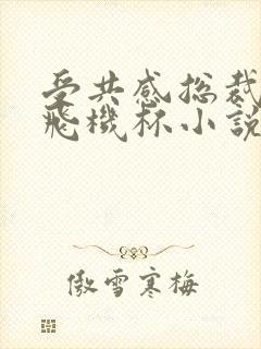 受共感总裁攻的飞机杯小说叫什么