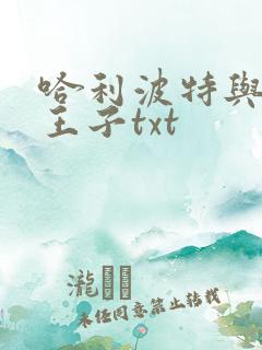 哈利波特与混血王子txt