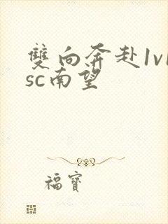 双向奔赴1v1sc南望